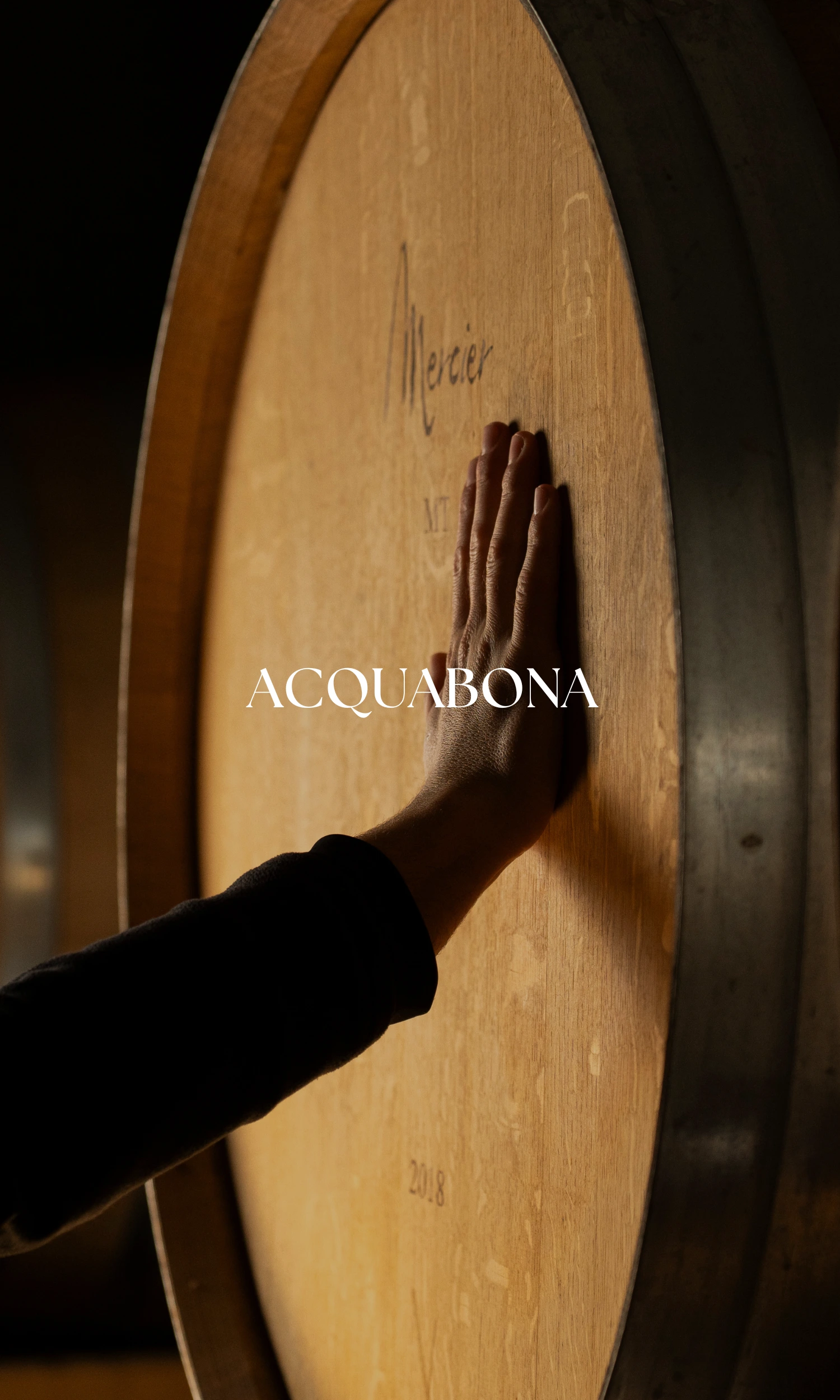 Copertina Acquabona verticale