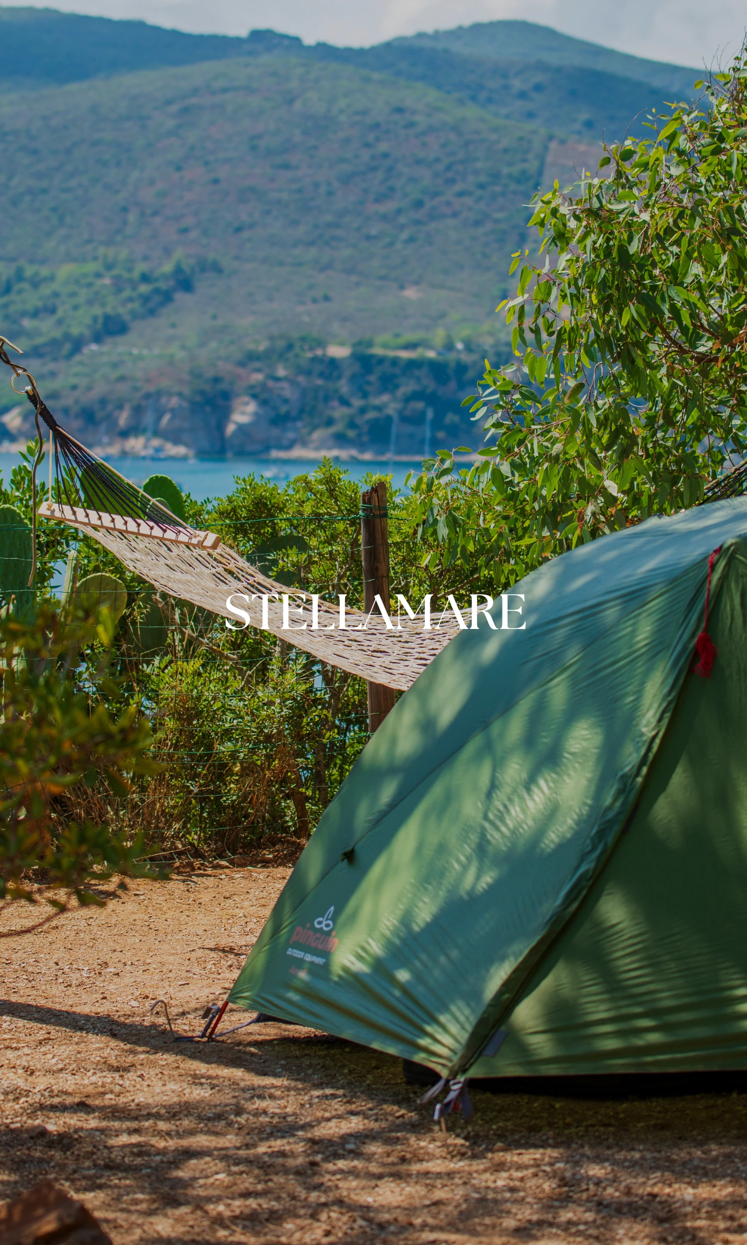 Copertina Stella Mare verticale