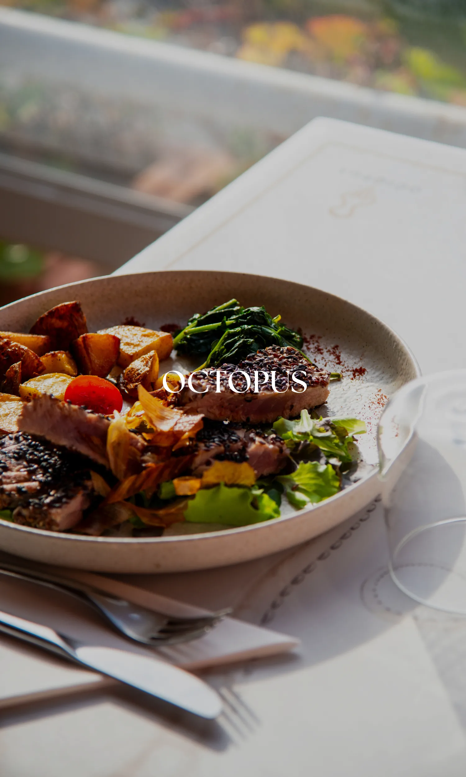 Copertina Octopus verticale