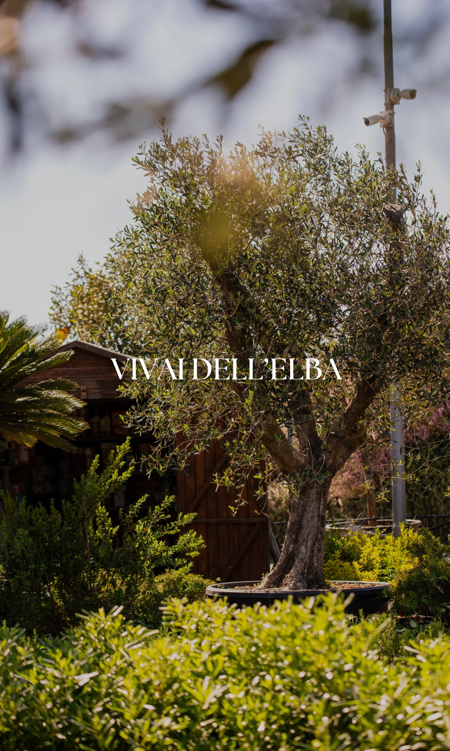 Copertina Vivai dell'Elba verticale