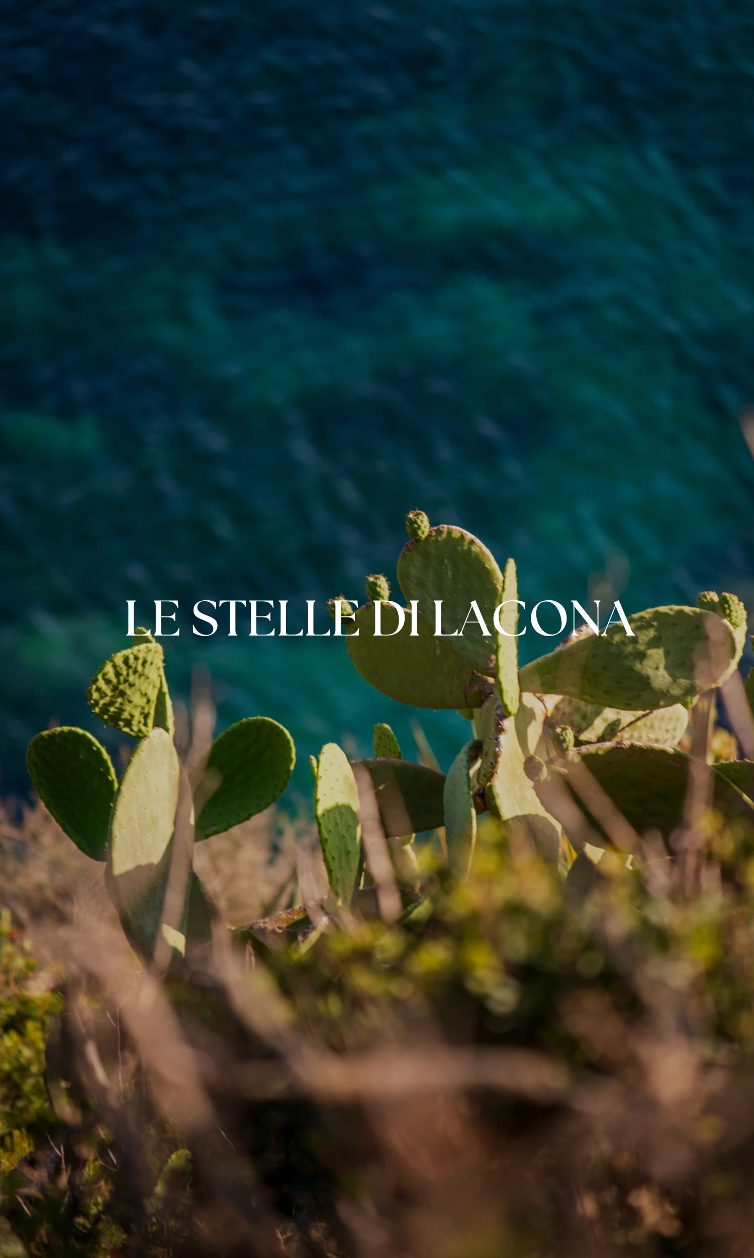 Copertina Le Stelle di Lacona verticale