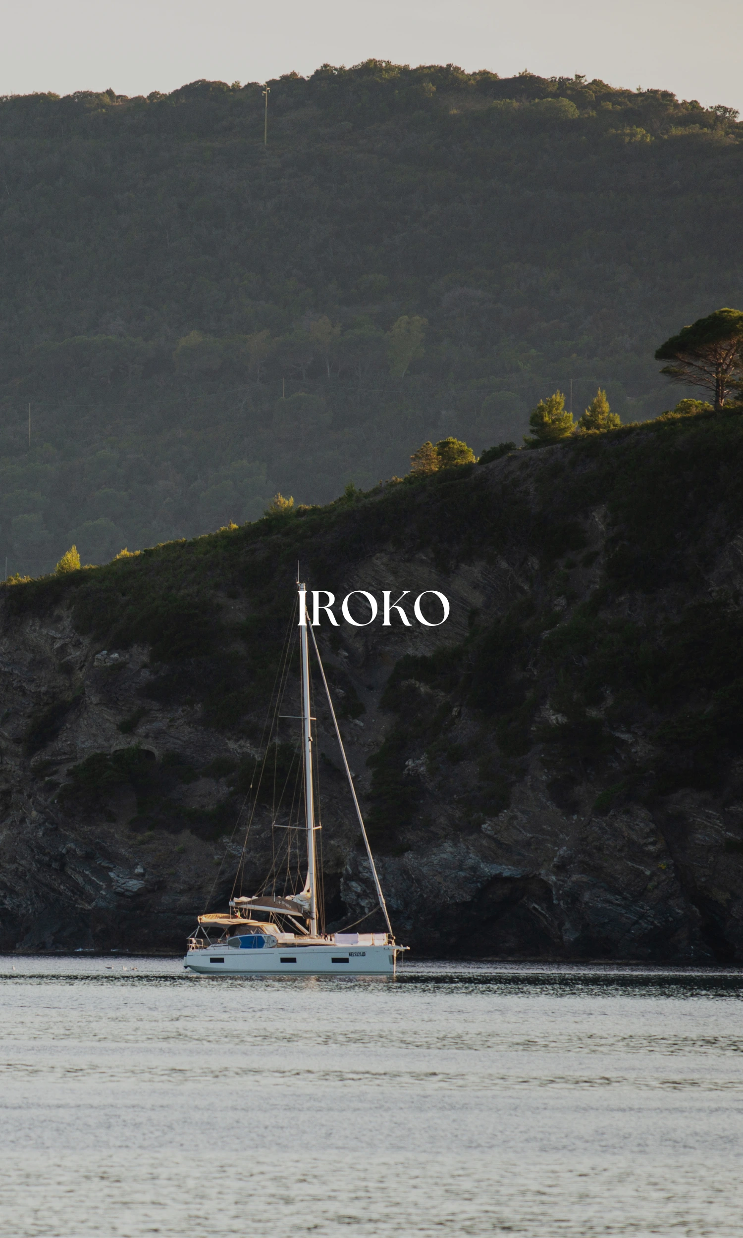 Copertina Iroko verticale